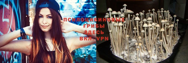 ALPHA-PVP Вяземский