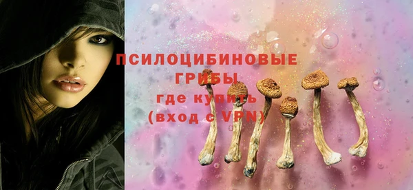 ALPHA-PVP Вяземский