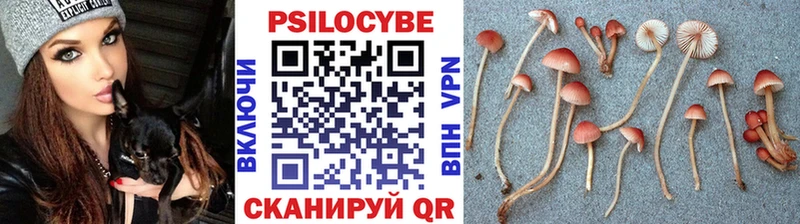Галлюциногенные грибы Magic Shrooms  где купить   Дмитровск 